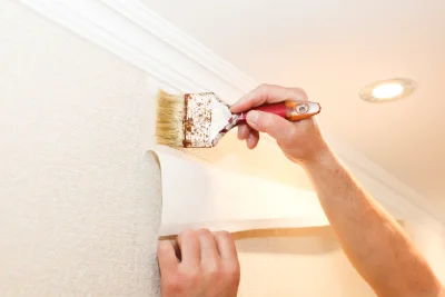 Pose de papier peint à Daubèze — revêtements muraux et toiles de verre